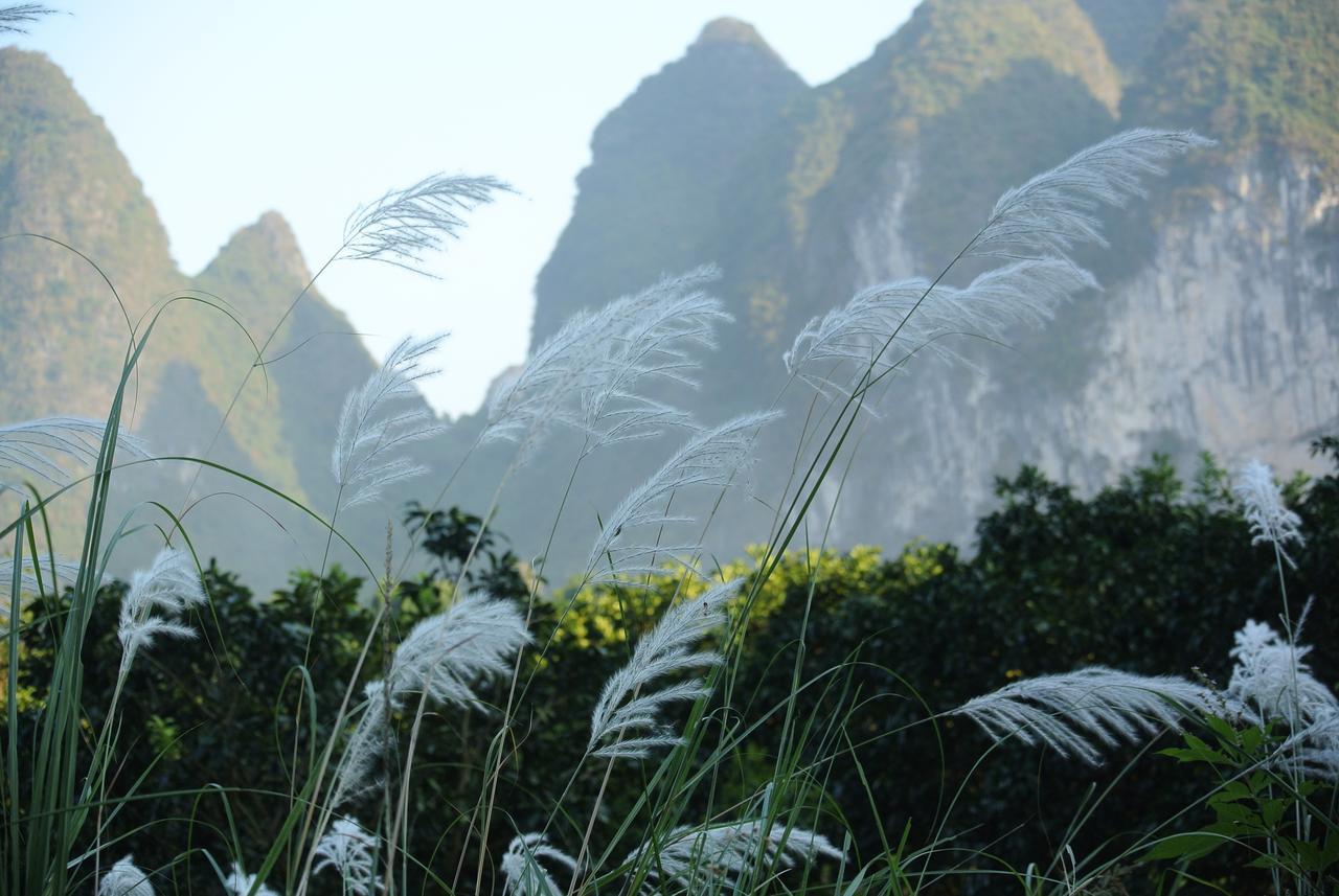 Nirvana Organic Farm Inn Yangshuo Bagian luar foto