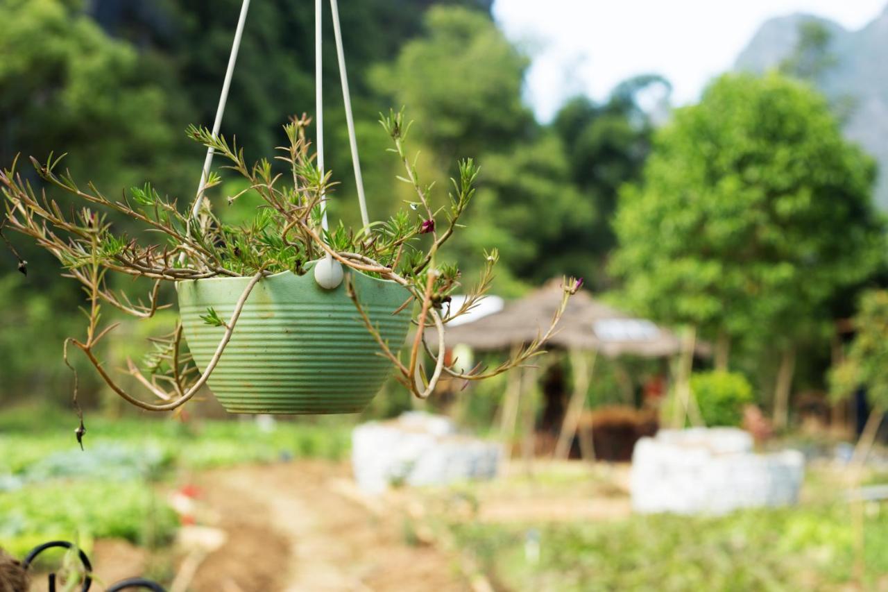 Nirvana Organic Farm Inn Yangshuo Bagian luar foto