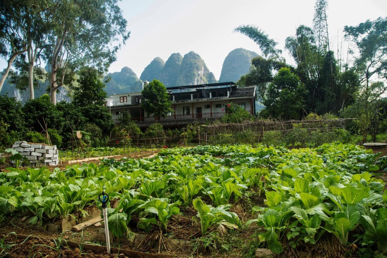 Nirvana Organic Farm Inn Yangshuo Bagian luar foto