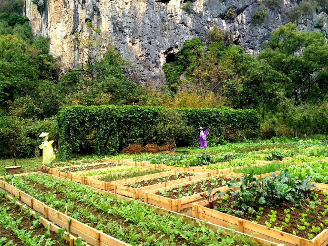 Nirvana Organic Farm Inn Yangshuo Bagian luar foto